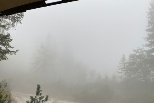 Schwierige Bedingungen beim Monitoring |© Magdalena Deelmann