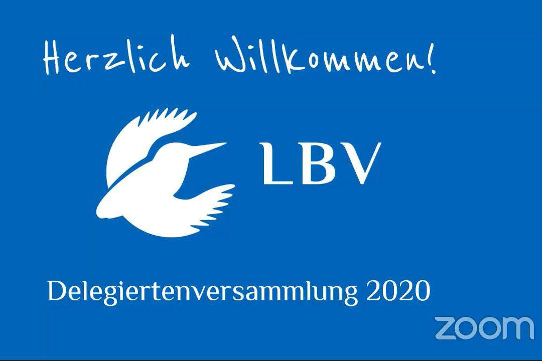 Starbildschirm LBV Delegiertenversammlung 2020