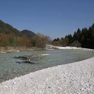 Fluss mit Kiesbank Obere Isar | © Hans-Joachim Fünfstück