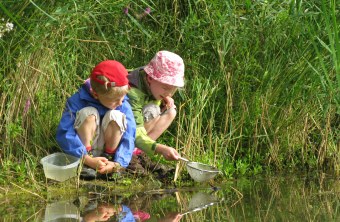 Zwei Kinder hocken an einem Gewässer und keschern mit Sieb und Behälter nach Kleinstlebewesen im Wasser