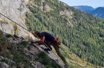Zaunabbau in der Nische |© David Schuhwerk