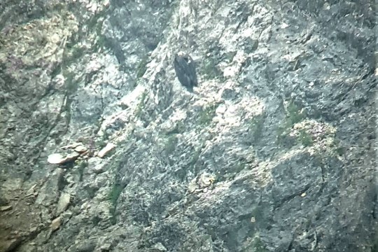 Bavarias Abendquartier |© D. Schuhwerk