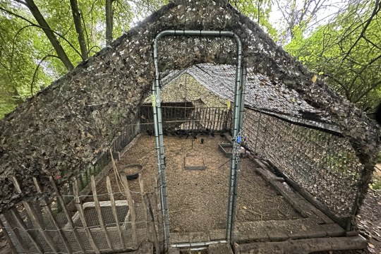 Fasanenvoliere neben Fallen im NSG Winzer | © Bettina Schröfl