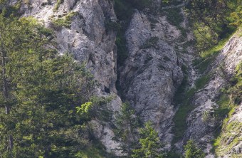 Wiggerl kurz nach dem Erstflug am 30.06.2024 | © Richard Straub LBV