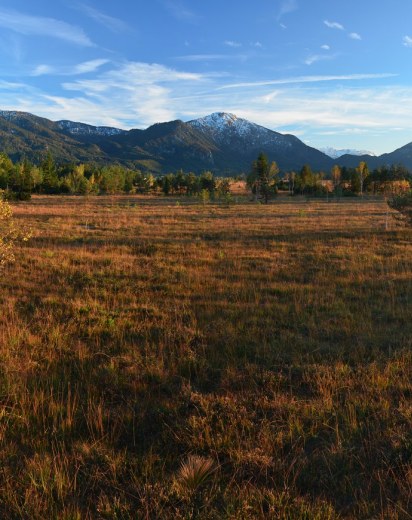 Kochelmoor | © Dr. Olaf Broders