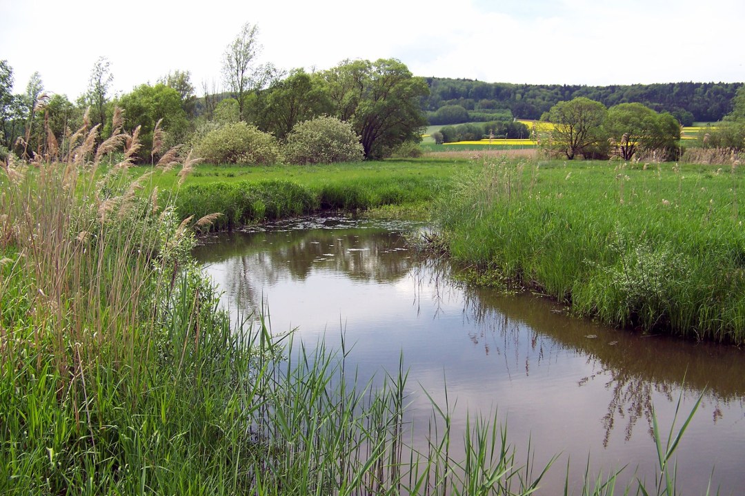 LBV-Schutzgebiet Schwarzarch | © Paul Arnold