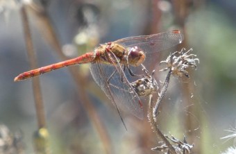 Stadt München | © Marion Ems (Stadt München)