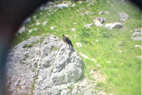 Bavaria an einem ihrer der ersten Rastplätze außerhalb der Nische | © D. Schuhwerk