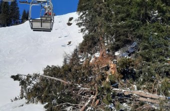 Eine Seilbahn fährt über einen schneebedeckten Hang, wo gefällte Bäume sichtbar sind, was den LBV zur Naturschutzarbeit anregt.