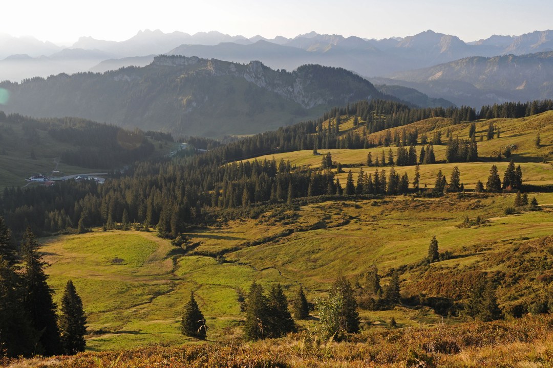 Riedberger Horn im Sommer | © Dr. Eberhard Pfeuffer