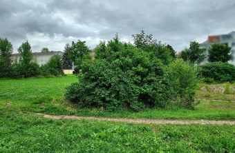 Stadt München | © Ulrike Gerbing (Stadt München)