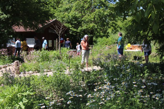 Blick in den Nektargarten | © Foto Mitterer