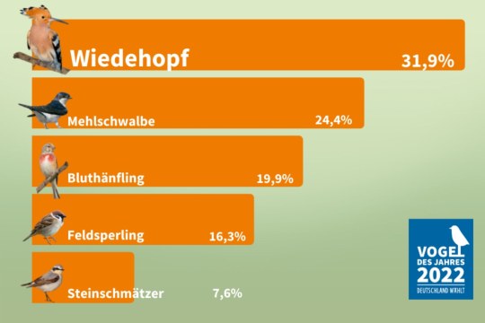 VdJ_Website_Grafik_2 | © Frank Derer, Matthias Schäf