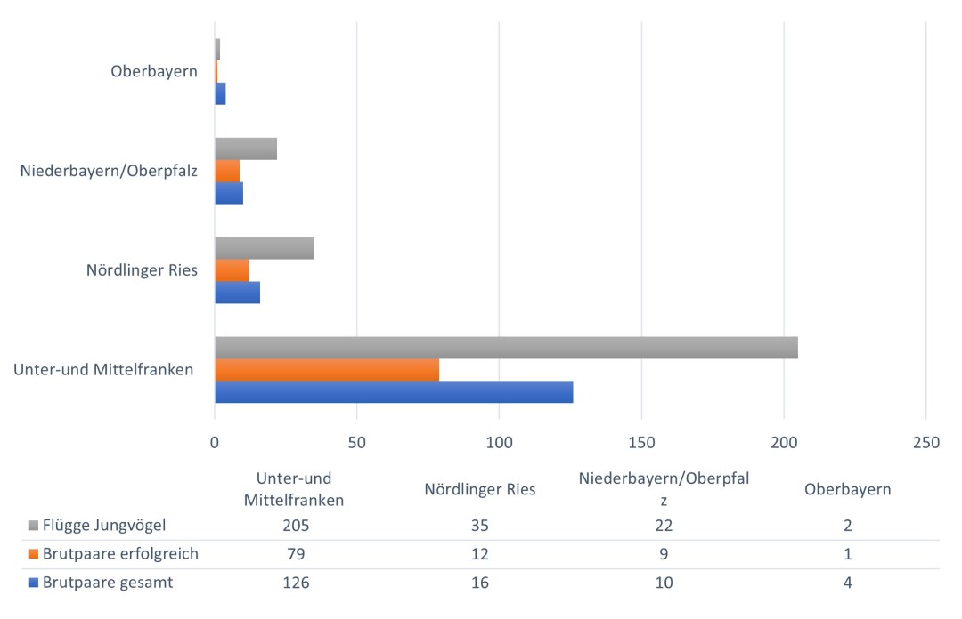 Brutvögel Wiesenweihe 2022