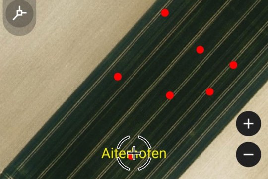 Kiebitznester Gerhard Krinner | © Gerhard Krinner