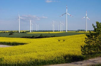 Windraeder_in_Rapsfeldern | © Thomas Staab