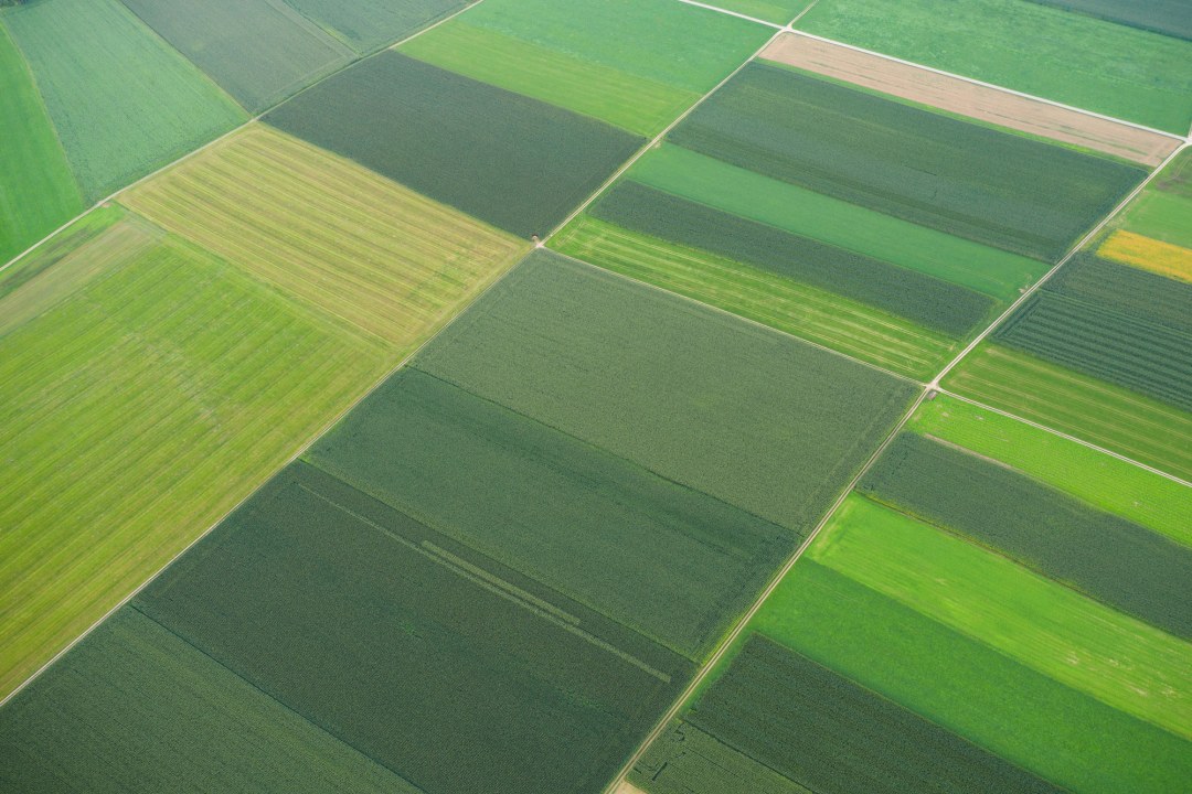 Agrarlandschaft, aus der Luft fotografiert | © Dr. Olaf Broders