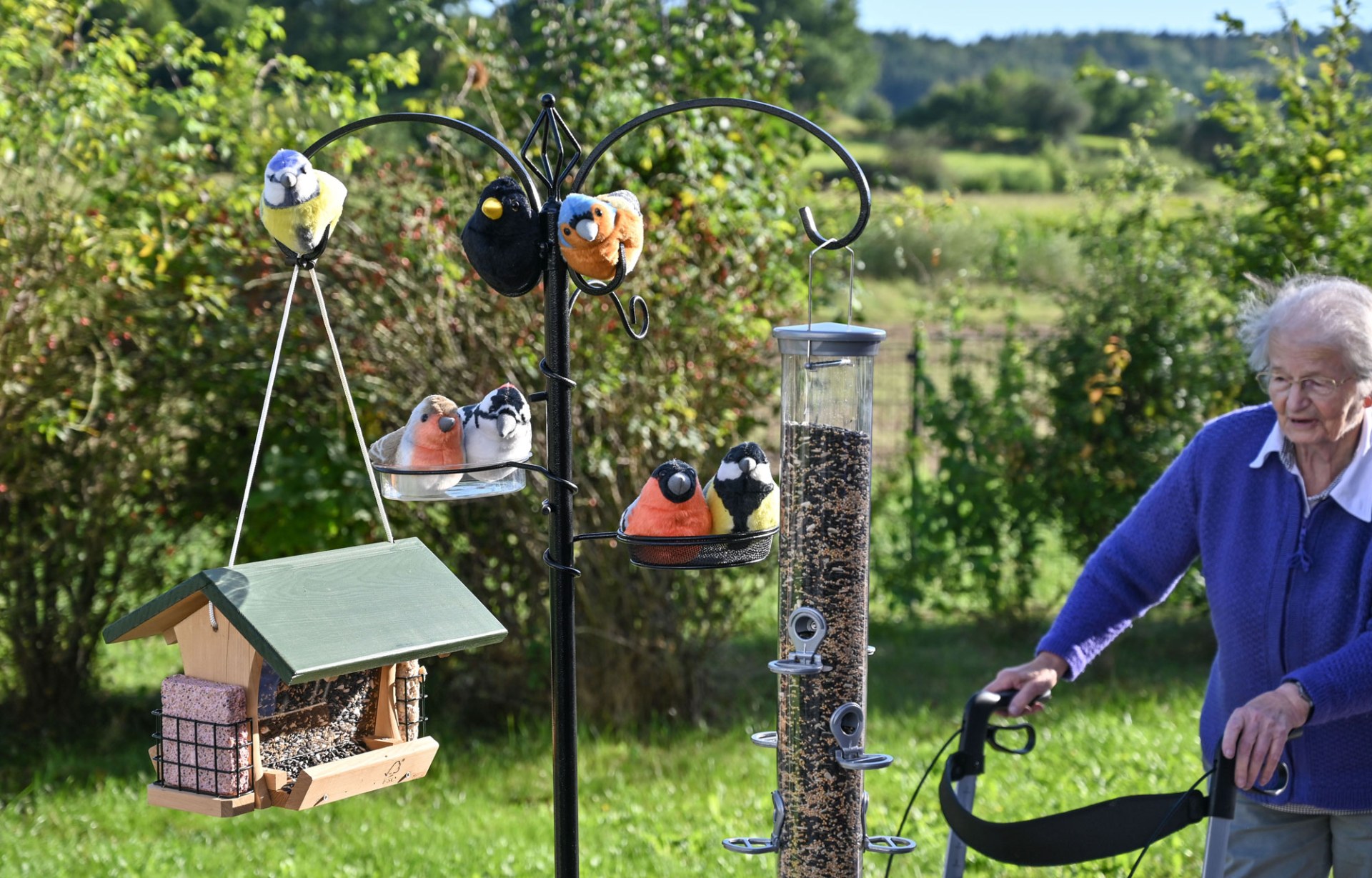 Seniorin an der Futterstelle |  © Tobias Schapaka