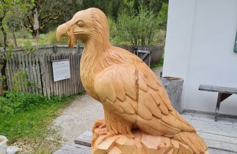 Bartgeier-Statue