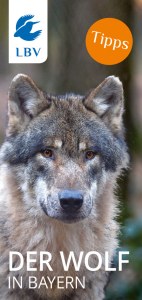 Cover LBV-Flyer Wolf in Bayern