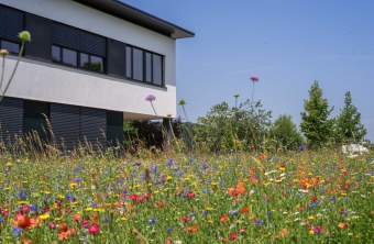 Berchtesgadener Land | © Dominik Hoiß (Berchtesgadener Land)