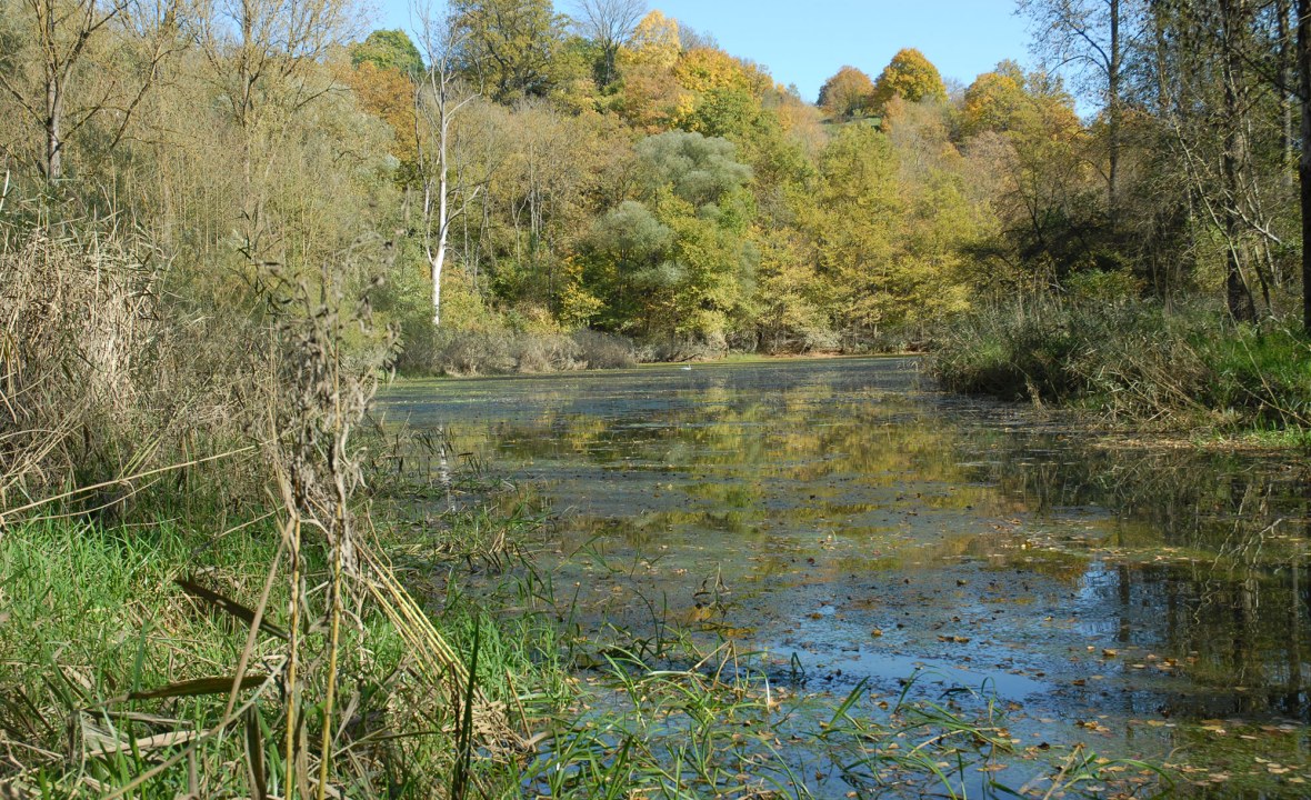Donauauen | © Dr. Eberhard Pfeuffer