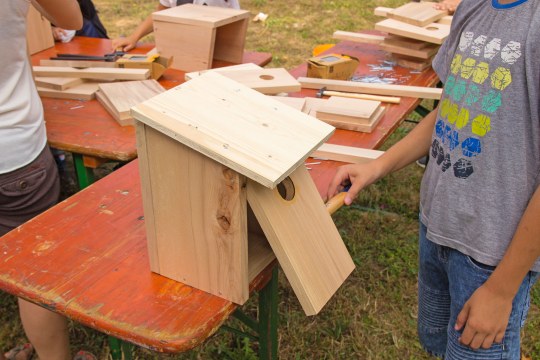 Fertiger Staren-Nistkasten steht auf einem Tisch, ein Kind daneben | © memo AG