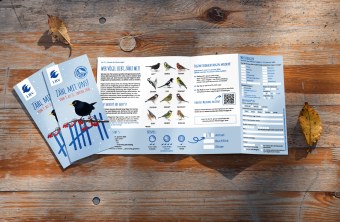 Ein Flyer der "Stunde der Wintervögel" des LBV liegt auf einem Holztisch, umgeben von Herbstblättern.