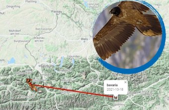 GPS Karte Bartgeier Bavaria | © Google Maps/Markus Leitner