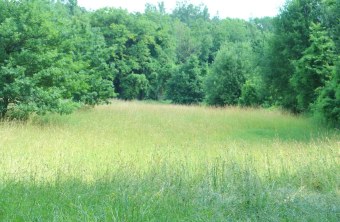 Donau-Ries | © Gabriele Ecker (Donau-Ries)