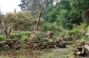 Garten mit Trockensteinmauern, stehendem und liegendem Totholz und bunt blühenden Pflanzen | © Carola Bria