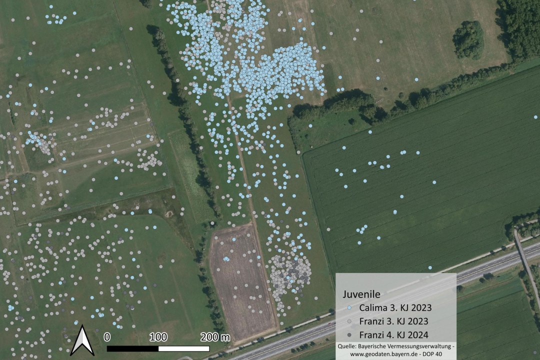 Satellitenbild mit markierten Punkten auf Feldern, LBV-Daten zur Vogelbewegung in Bayern | © LBV