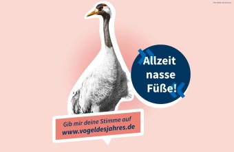 Kranich – „Allzeit nasse Füße!" | © BfV/M. Suárez Porras