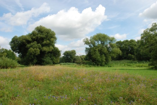 Mainaue | © Dr. Pfeuffer