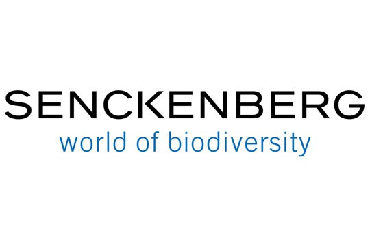 Senckenberg