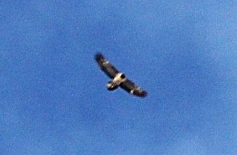 Luisa im Karwendel |© Alexandra de Crignis