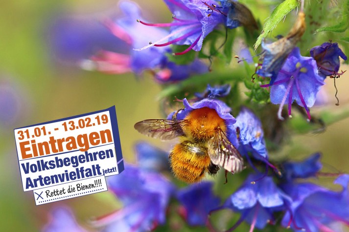 Mooshummel an einer Blüte mit dem Logo des Volksbegehrens drauf: 31.1. bis 13.02. eintragen. Volksbegehren Artenvielfalt jetzt | © Monika Graf