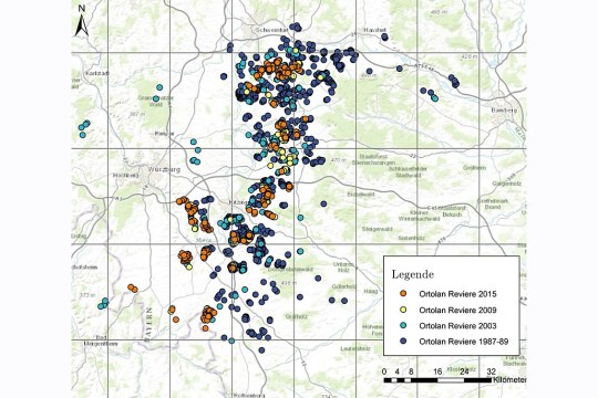 Reviere des Ortolans in Franken - Ergebnisse der flächendeckenden Kartierungen | © LBV