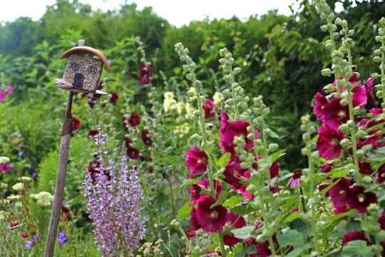 Artenreicher Garten | © Peter Bria