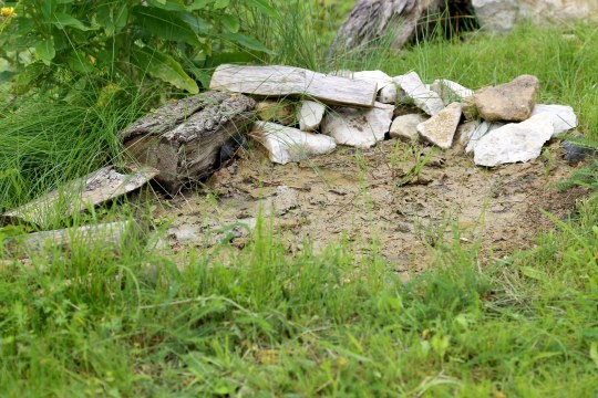 Lehmpfütze für Schwalben | © Peter Bria