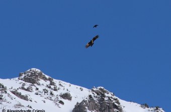 Sisi im April 2024 | © Alexandra de Crignis