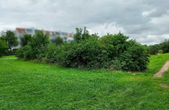 Stadt München | © Ulrike Gerbing (Stadt München)