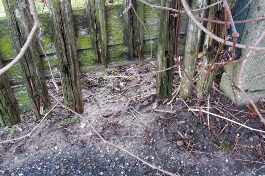 Gartenzaun aus Holz mit einem Durchlass, wo ein Igel durchlaufen kann | © Maximilian Auer