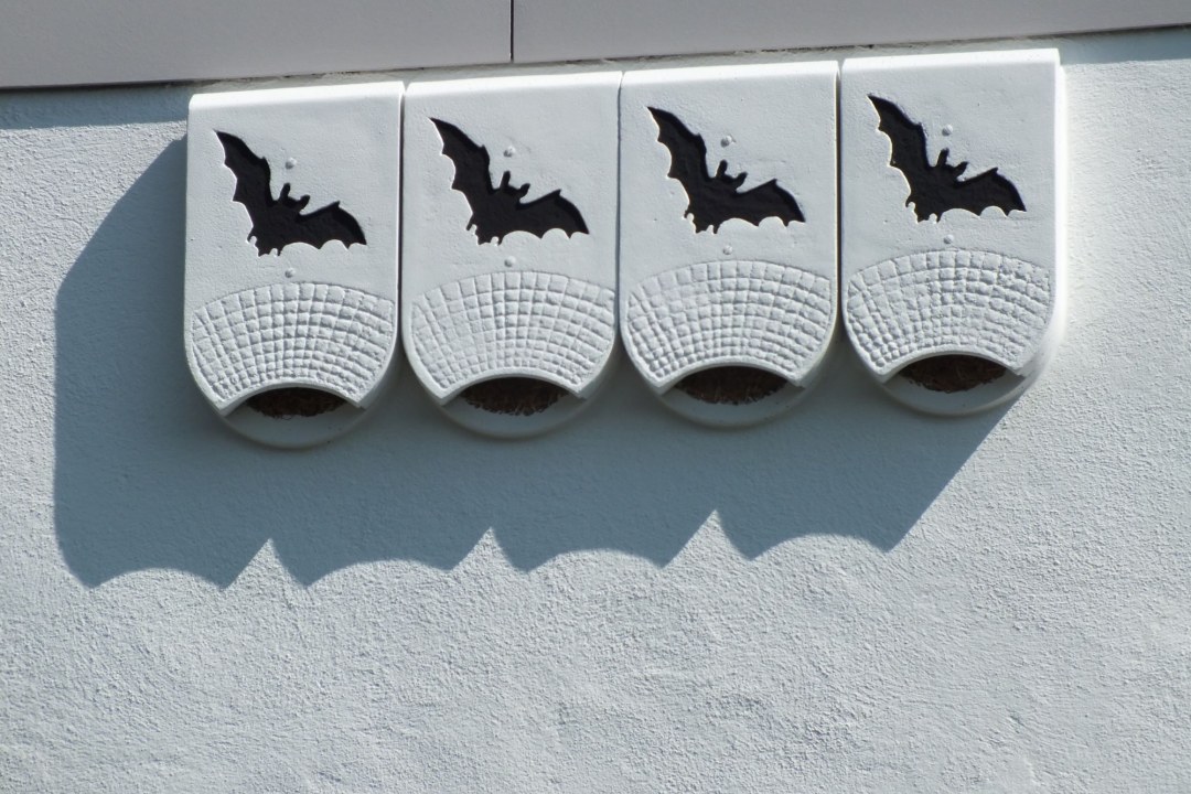 Fledermausnisthilfen |© Wittmann Rudolf