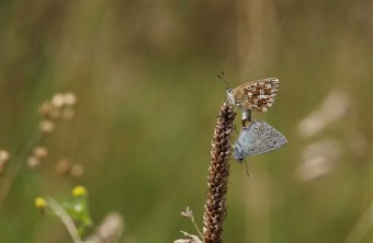 Bamberg | © Alexandra Klemisch (Bamberg)