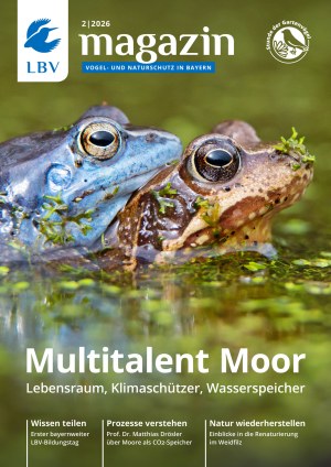 Das Cover des LBV-Magazins 2026 zeigt zwei Moorfrösche bei der Balz
