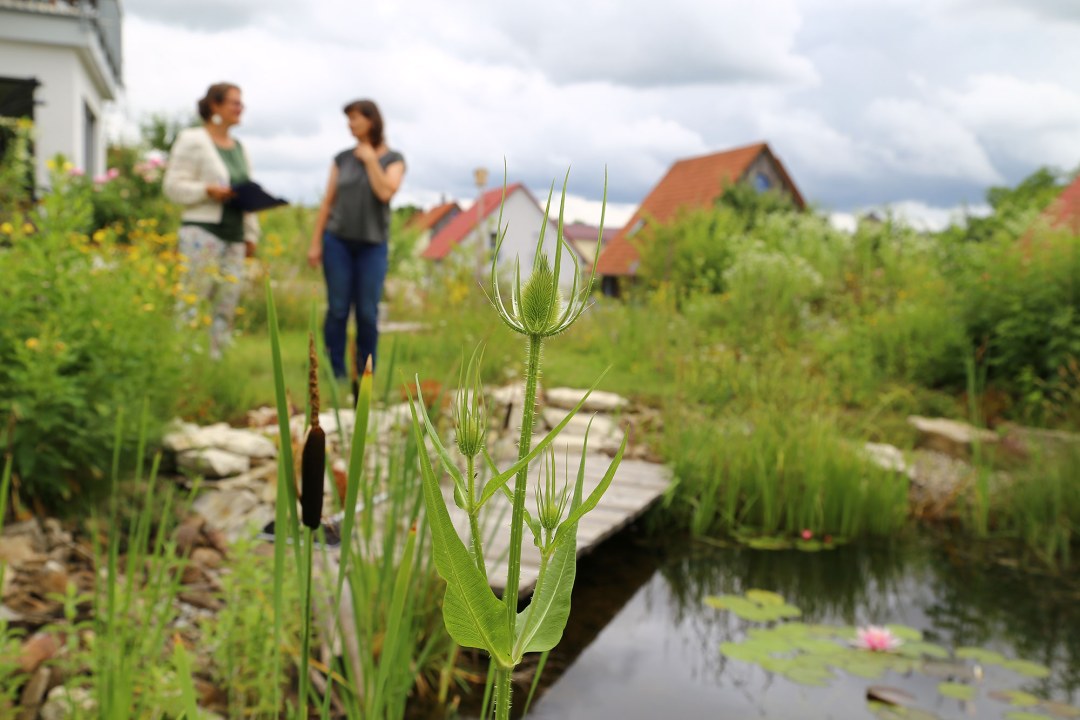Zwei Frauen unterhalten sich im Hintergrund, im Vordergrund ist ein eingewachsener Gartenteich | © Carola Bria
