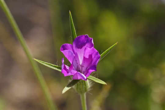 Konrade | © Marcus Bosch