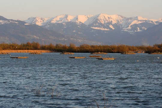 Bodensee | © Frank Derer