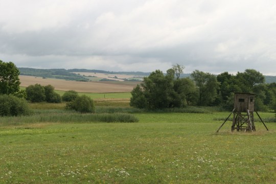 LBV-Schutzgebiet Bischofsaue Bad Rodach mit Ansitz | © Julia Römheld